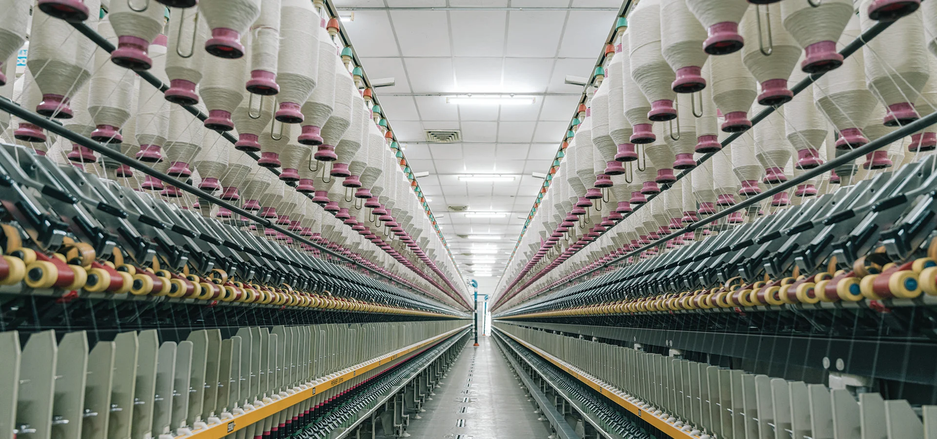 Banner_0001_DSC07736